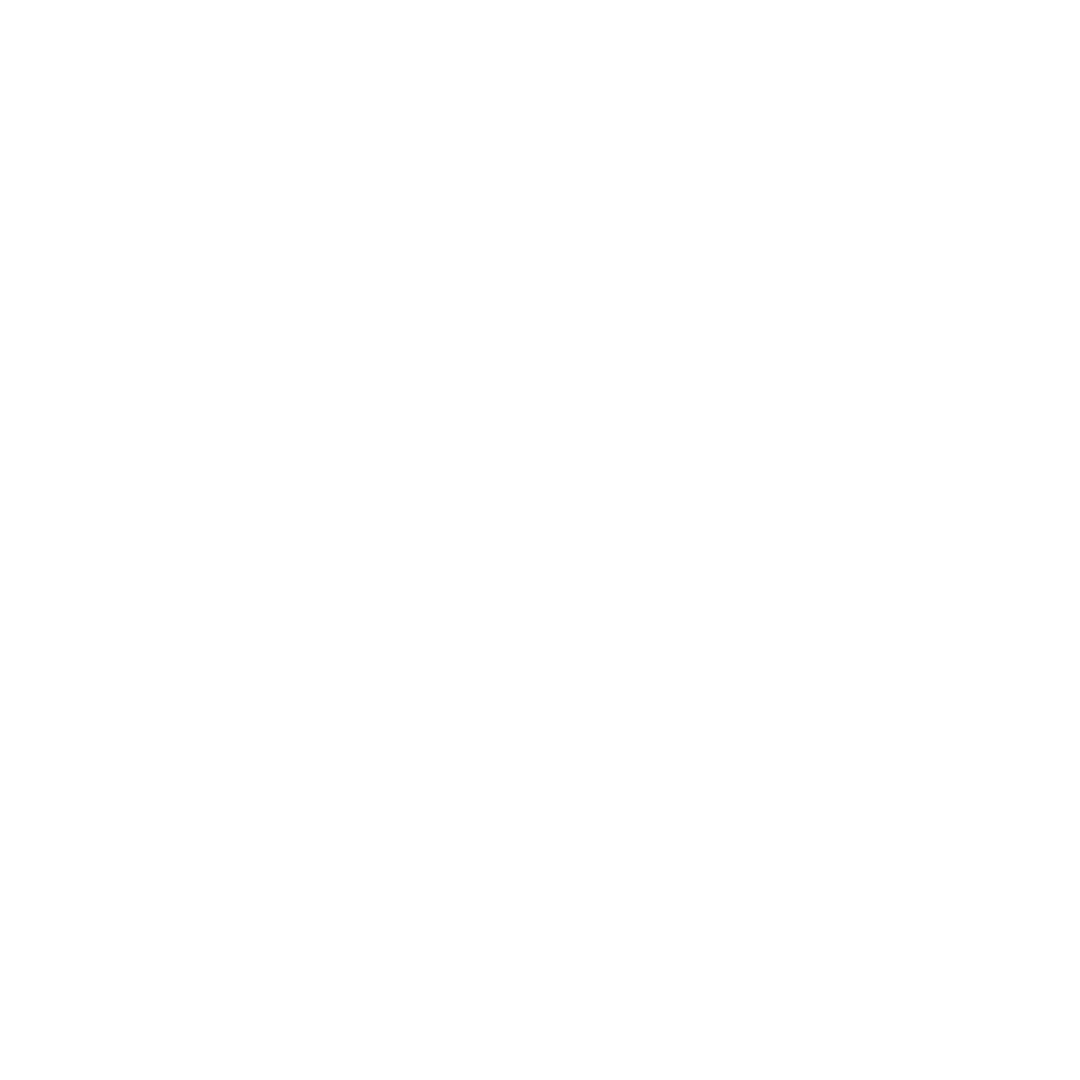Sara Veiga Makeup Logo